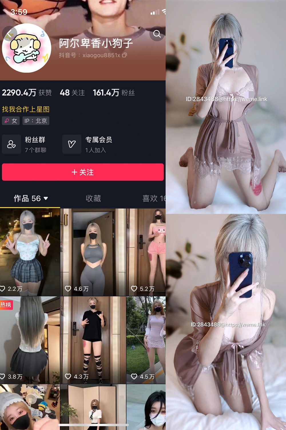 抖音 阿尔卑香小狗子 微密圈  NO.045期 【39P】最新至：2026.6.9-睡莲.top