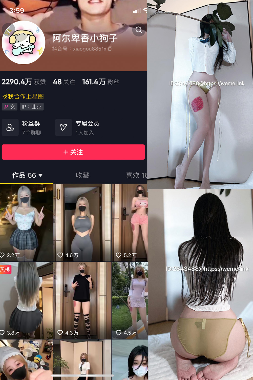 抖音 阿尔卑香小狗子 微密圈  NO.047期 【39P】最新至：2024.6.10-睡莲.top