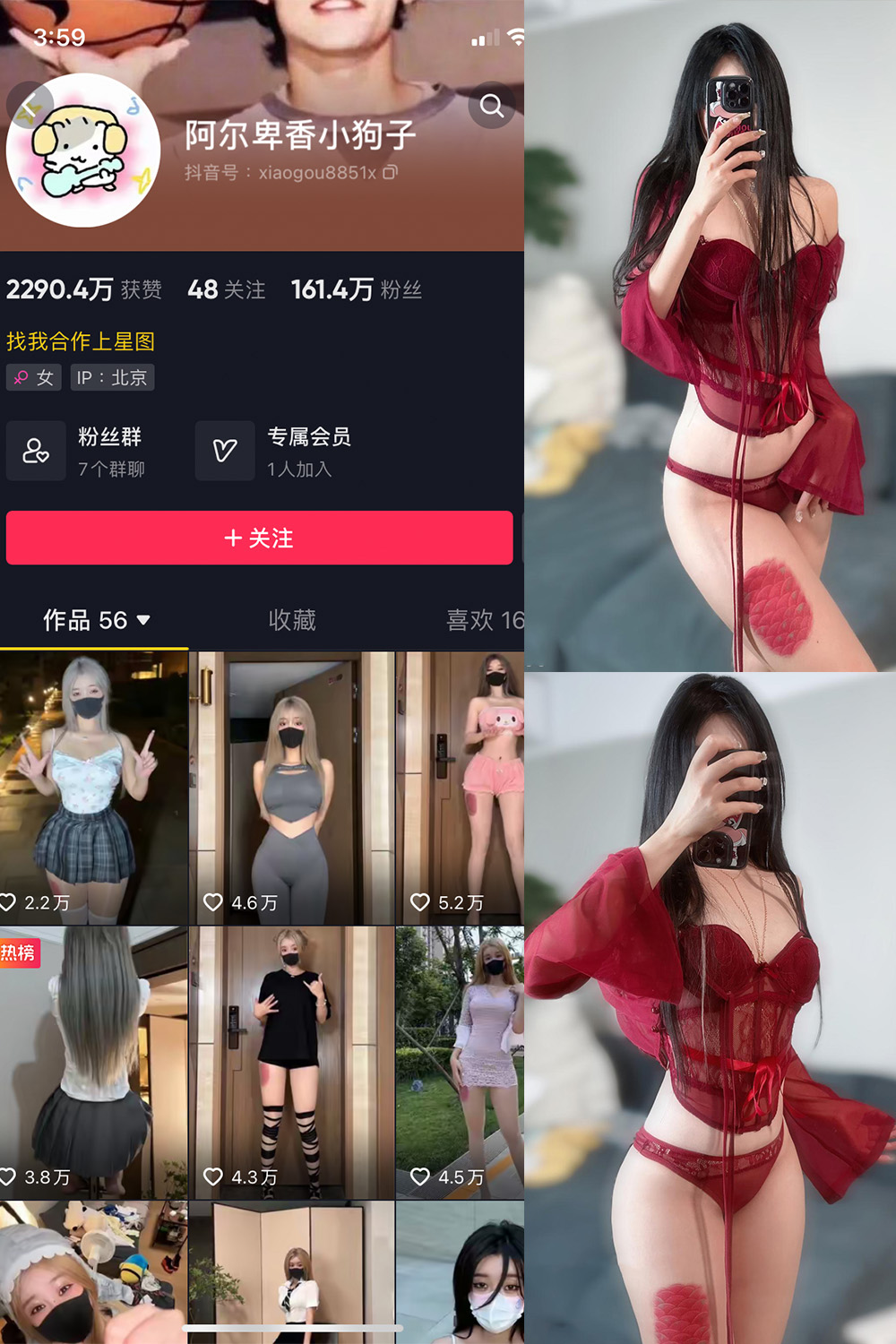 抖音 阿尔卑香小狗子 微密圈  NO.056期 【10P2V】最新至：2024.8.25-睡莲.top